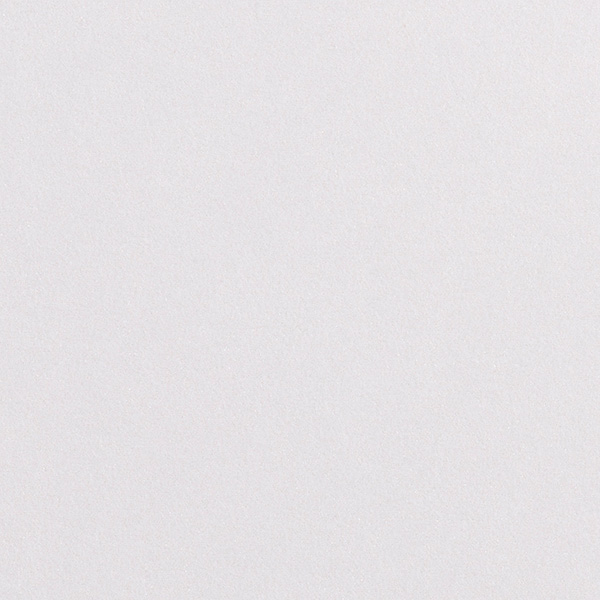 lakepaper Extra - White pure protect - 350 g/m² - A4