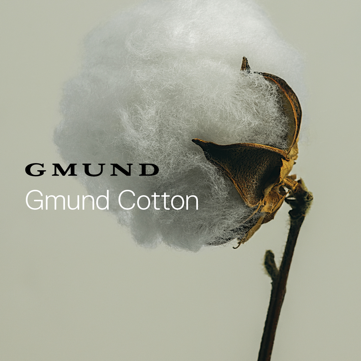 Gmund Cotton - Compendium Gmund Cotton