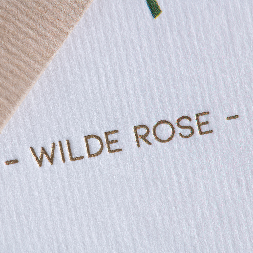 Grußkarte Botanicals - Wilde Rose
