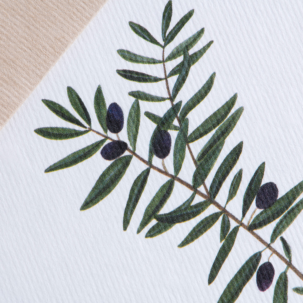Grußkarte Botanicals - Olive