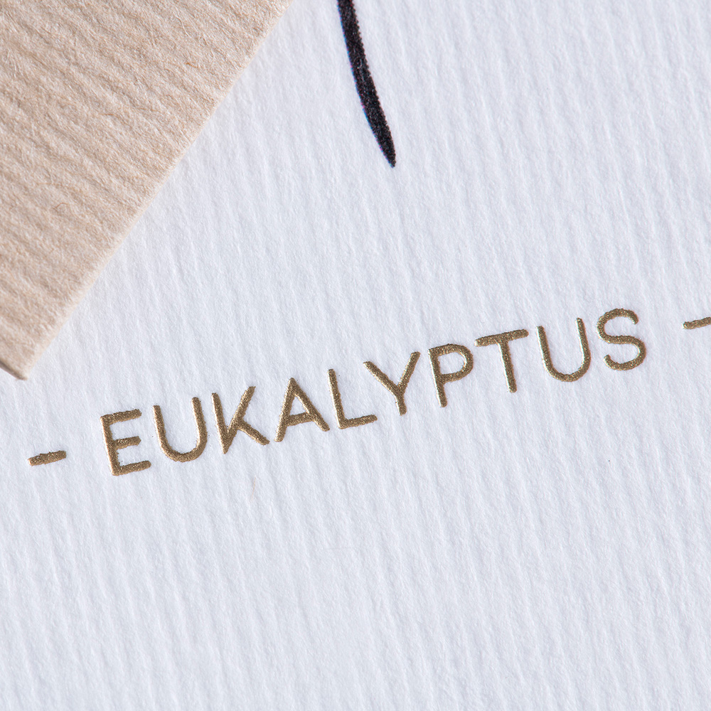 Grußkarte Botanicals - Eukalyptus