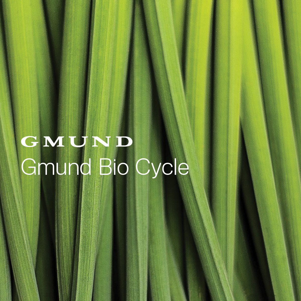 Gmund Bio Cycle - Compendium