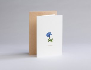 Grußkarte Botanicals - Blauer Enzian