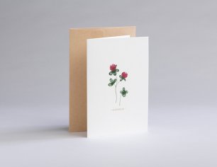 Grußkarte Botanicals - Glücksklee