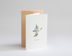 Grußkarte Botanicals - Vergissmeinnicht