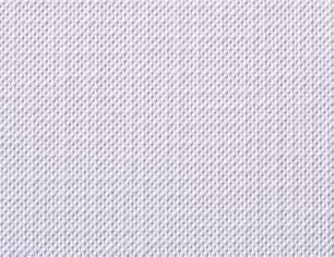 Canvas Blanc