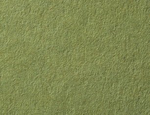 Olivine