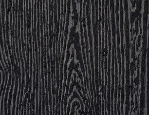 Brasilia Black