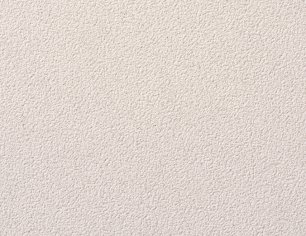 Cement Powder