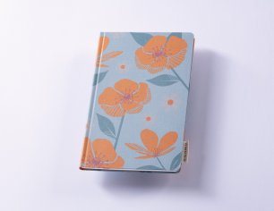Dirndlbuch - Klara