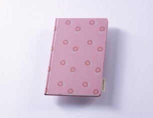 Dirndlbuch - Vroni
