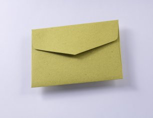 Gift packaging envelope, Size S - Chlorophyll