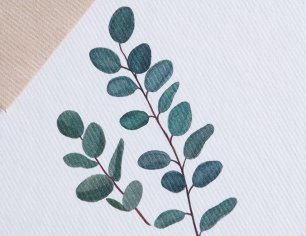 Grußkarte Botanicals - Eukalyptus