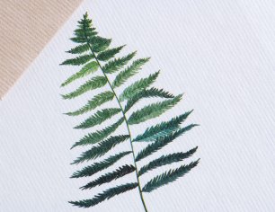 Grußkarte Botanicals - Farn
