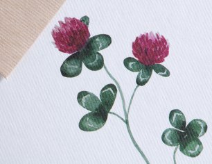 Grußkarte Botanicals - Glücksklee