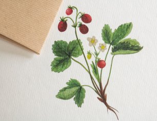 Grußkarte Botanicals - Süße Beere