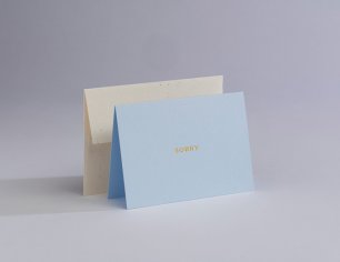 Little Color Notes - Sorry