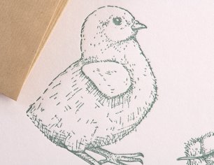 Grußkarte Ostern - Küken - grün