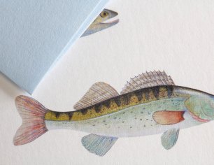 Grußkarte Spuren am Tegernsee - Fischer vom Tegernsee