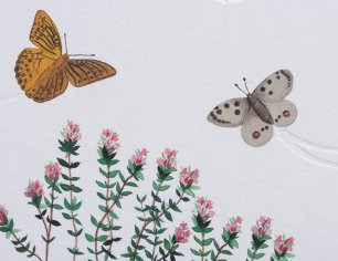 Grußkarte Spuren am Tegernsee - Schmetterling