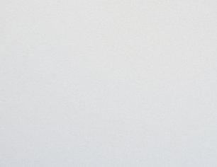White pure protect