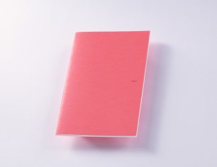 Cahier - neon
