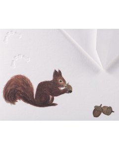 Winter card Traces in the snow - squirrel