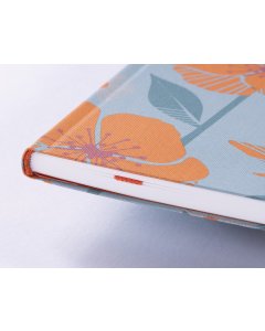 Dirndl-Book - Klara
