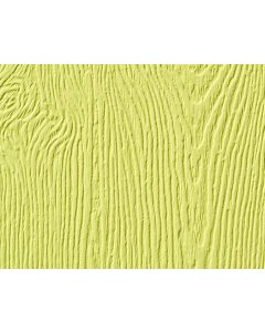 Gingko Solid